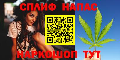 винт Будённовск
