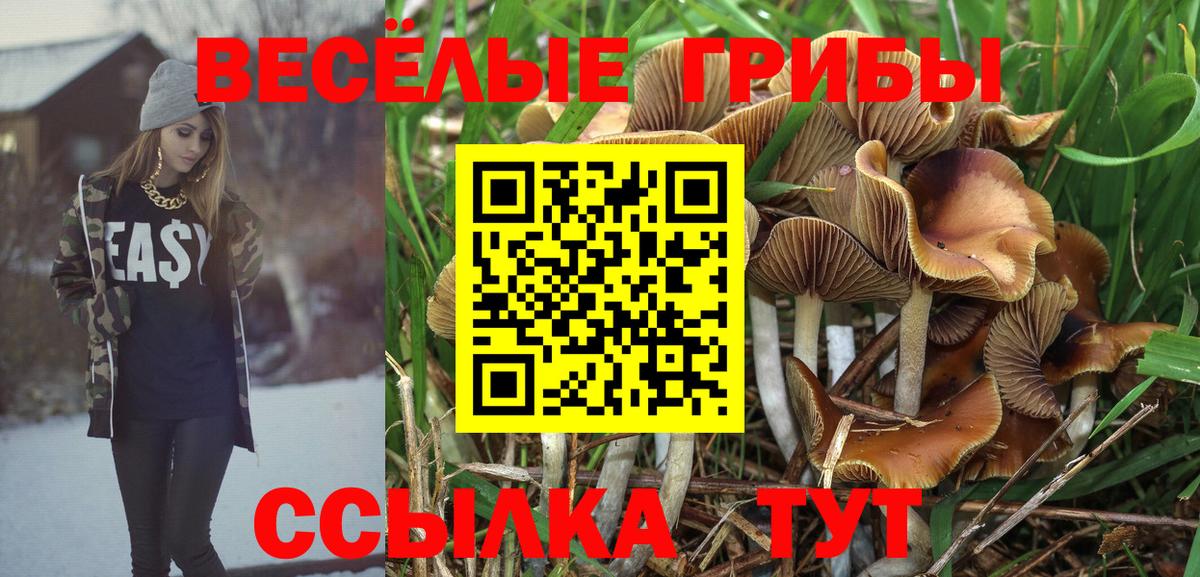 Псилоцибиновые грибы GOLDEN TEACHER Югорск