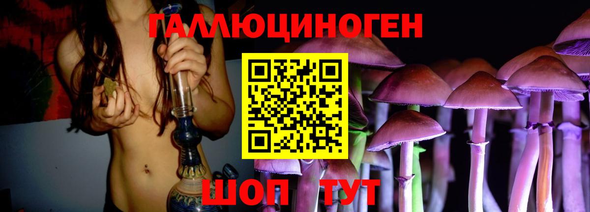 Югорск  Галлюциногенные грибы Psilocybe  Вход с VPN 